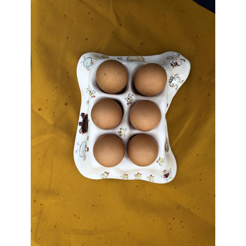 Porta uova galline